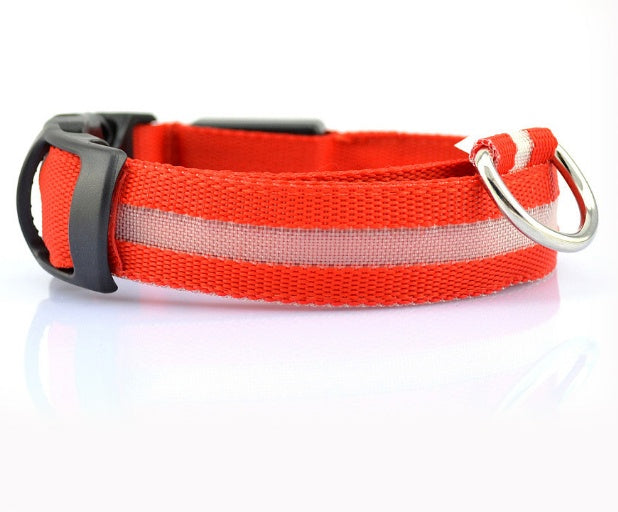 Glow-Safe LED Dog Collar — Be Seen, Stay Safe