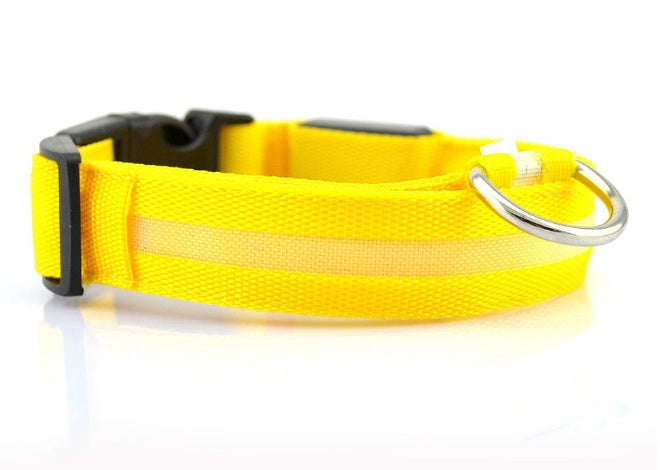 Glow-Safe LED Dog Collar — Be Seen, Stay Safe