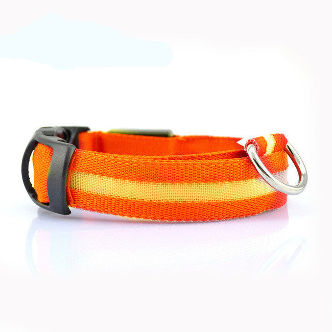 Glow-Safe LED Dog Collar — Be Seen, Stay Safe