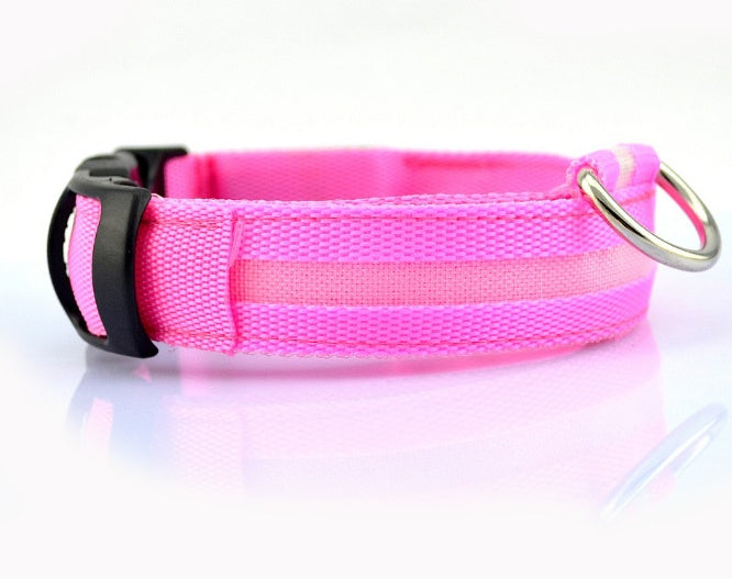 Glow-Safe LED Dog Collar — Be Seen, Stay Safe