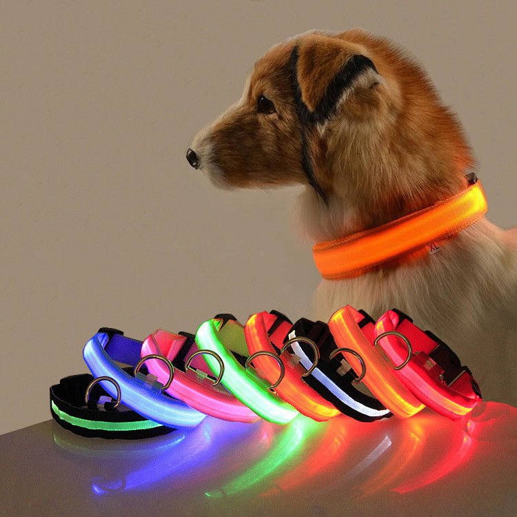 Glow-Safe LED Dog Collar — Be Seen, Stay Safe