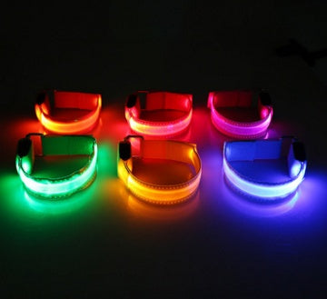 Glow-Safe LED Dog Collar — Be Seen, Stay Safe